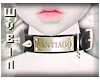 🐁 Choker Santiago