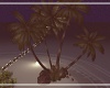 Palm Tree Set