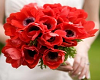 Bouquet with Poppies