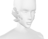 Nazo cheek scales