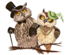 Owls(us)