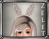 |LZ|Kid Bunny Bundle