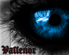 Vallenor Blue