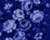 Derivable Blue Rug