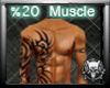 *M3M* Scaler %20 Muscle