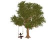 ~pbp~tree swing for 2