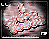 CE' YSL F
