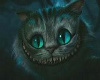 *The Cheshire Cat*