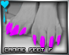 D~Canine Feet:Purple F