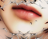 spider bites. L ☆