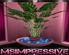 Pink Paradise Plant {MS}