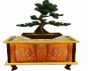 bonsia tree cabinet