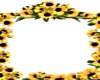 Sunflower avi frame