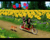 Bike Trip W/ Dog