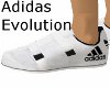  Evolution Kicks