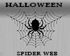 HALLOWEEN SPIDER WEB