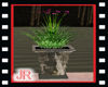 JR Pot & flower plant