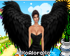 (A) Evil Black Wings