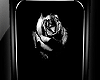 !! Black Rose Painting