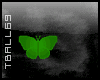 Green Animated Butterfly