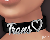 *N Trans Choker Silver