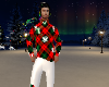 Conjunto Navideño H