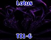 Lotus Purple