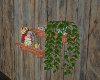 Shelf + Plants