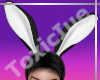 [T] Bunny Ears Headband