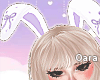 R.Your Bunny Ears -Lilac