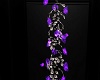Purple hanging Roses