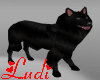 Dog black shepherd amine