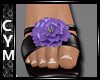 Cym  Flower  Violet