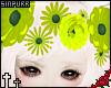 S; FlowerCrown Lime