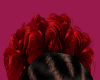 Z} Nova Hairs