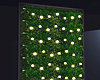 Ivy Plants+Lights