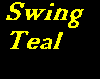 Teal Swing animated