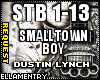 Small Town Boy-D Lynch