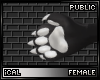Lyx Paw