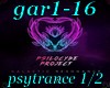 gar1-16  p1/2