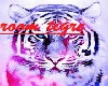room tigre