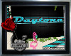 ~Daytona Screen~