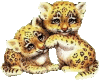 Cheetahs 115