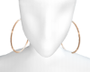 ℠ - Gold Earrings