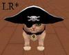 Brown Tabby Pirate Kitty