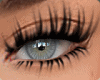 Aura/Winsa Queen Lashes