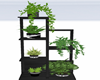 :3 Plant Stand