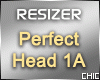 Head Resizer V1