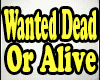 Wanted Dead Or Alive BJ