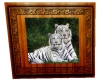 Framed White Tigers